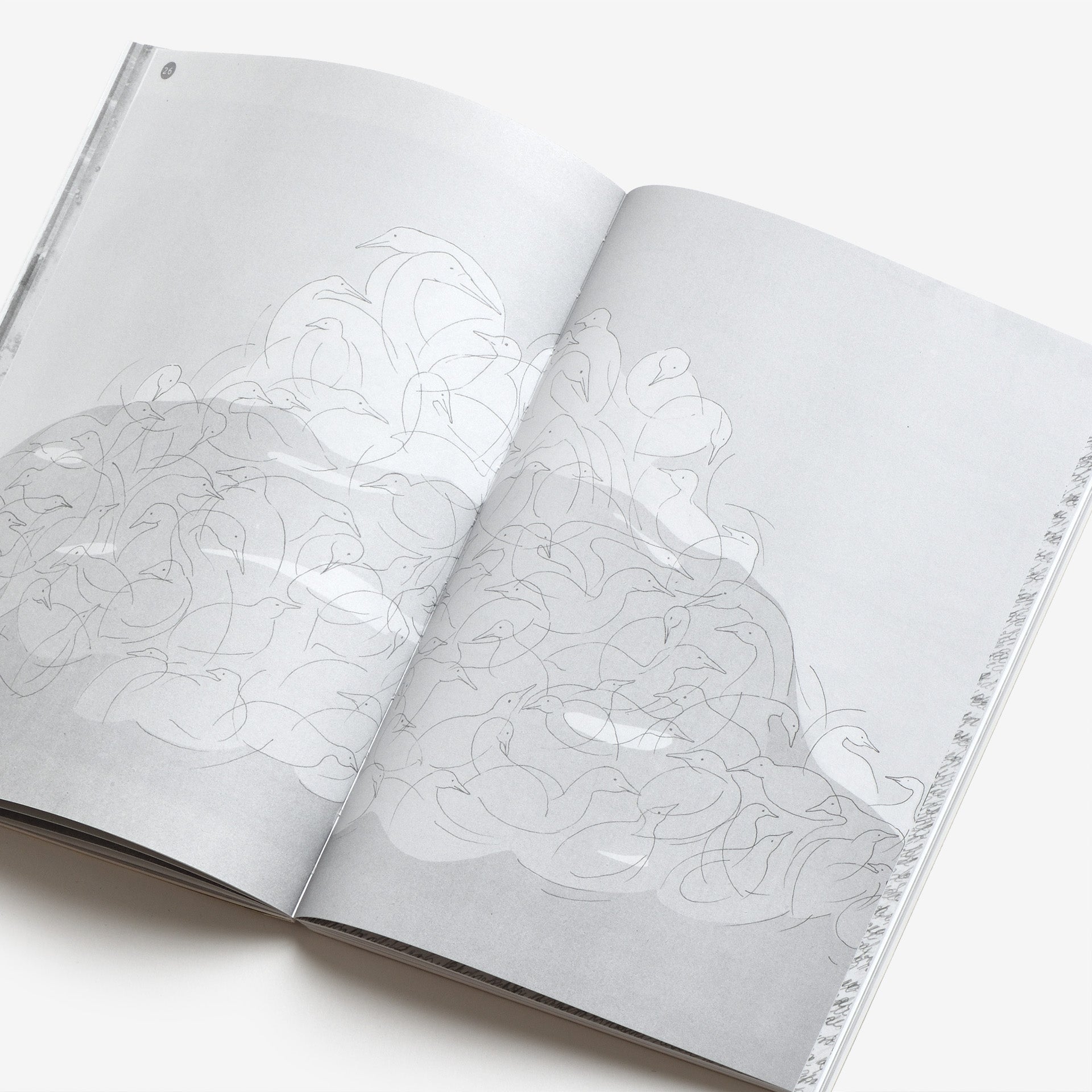 In the Wake of Blind Navigation. Boekie Woekie - Books by Artists