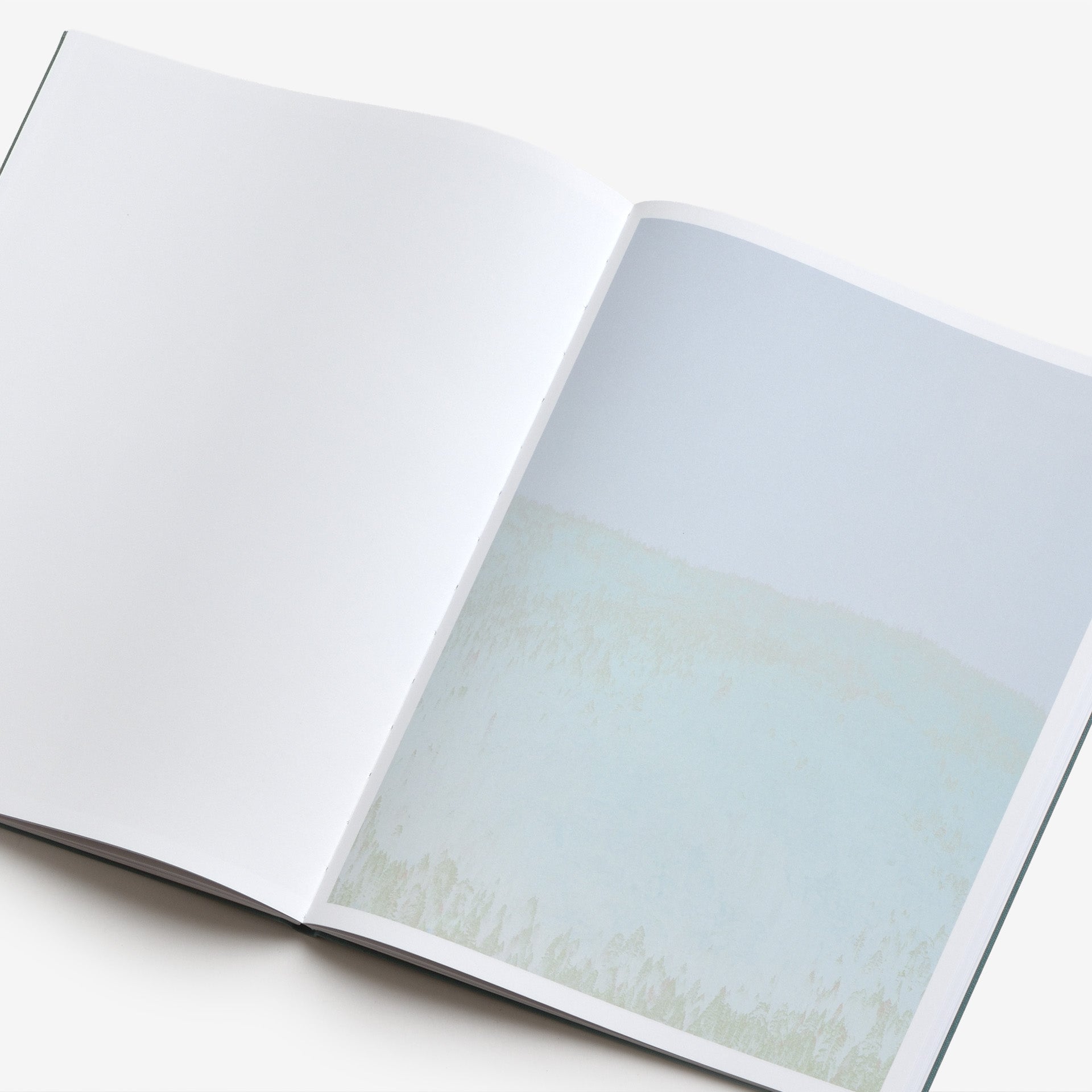 Aaron Rothman: The Sierra