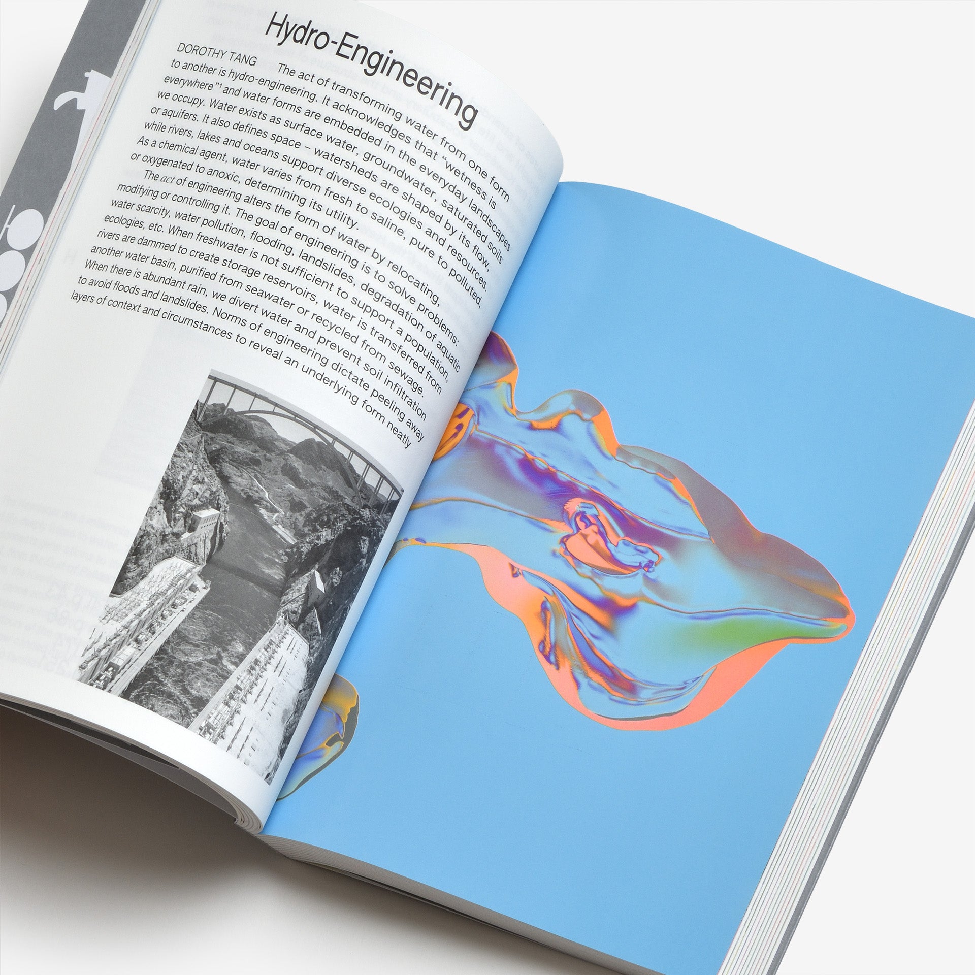 100 Words for Water: A Projective Ecosocial Vocabulary