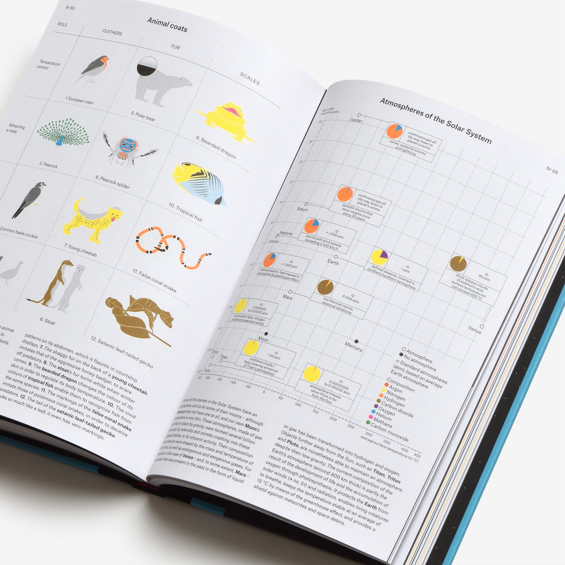 Phenomena: An Infographic Guide to Almost Everything