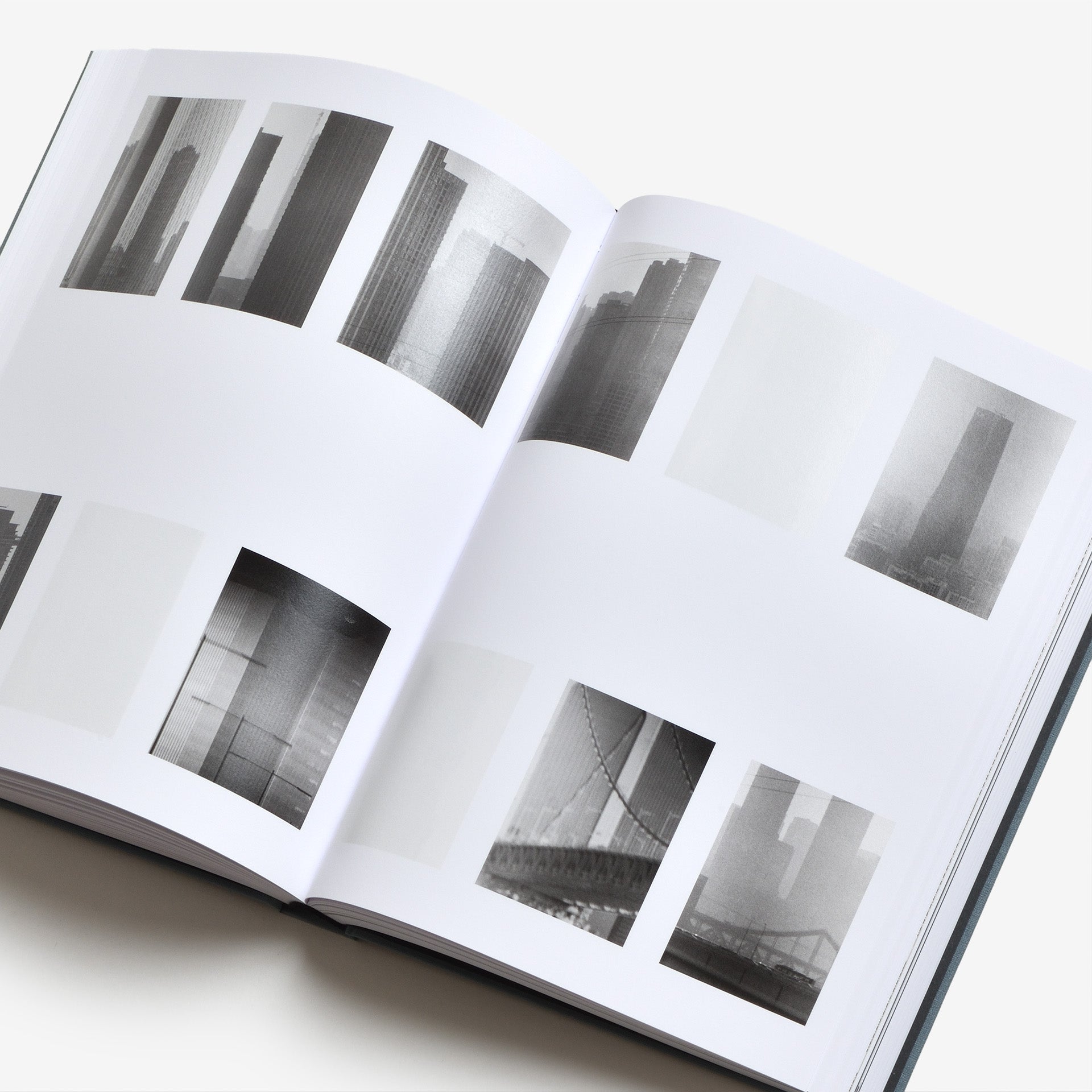 Daniel Shea: Distribution（サイン入り）