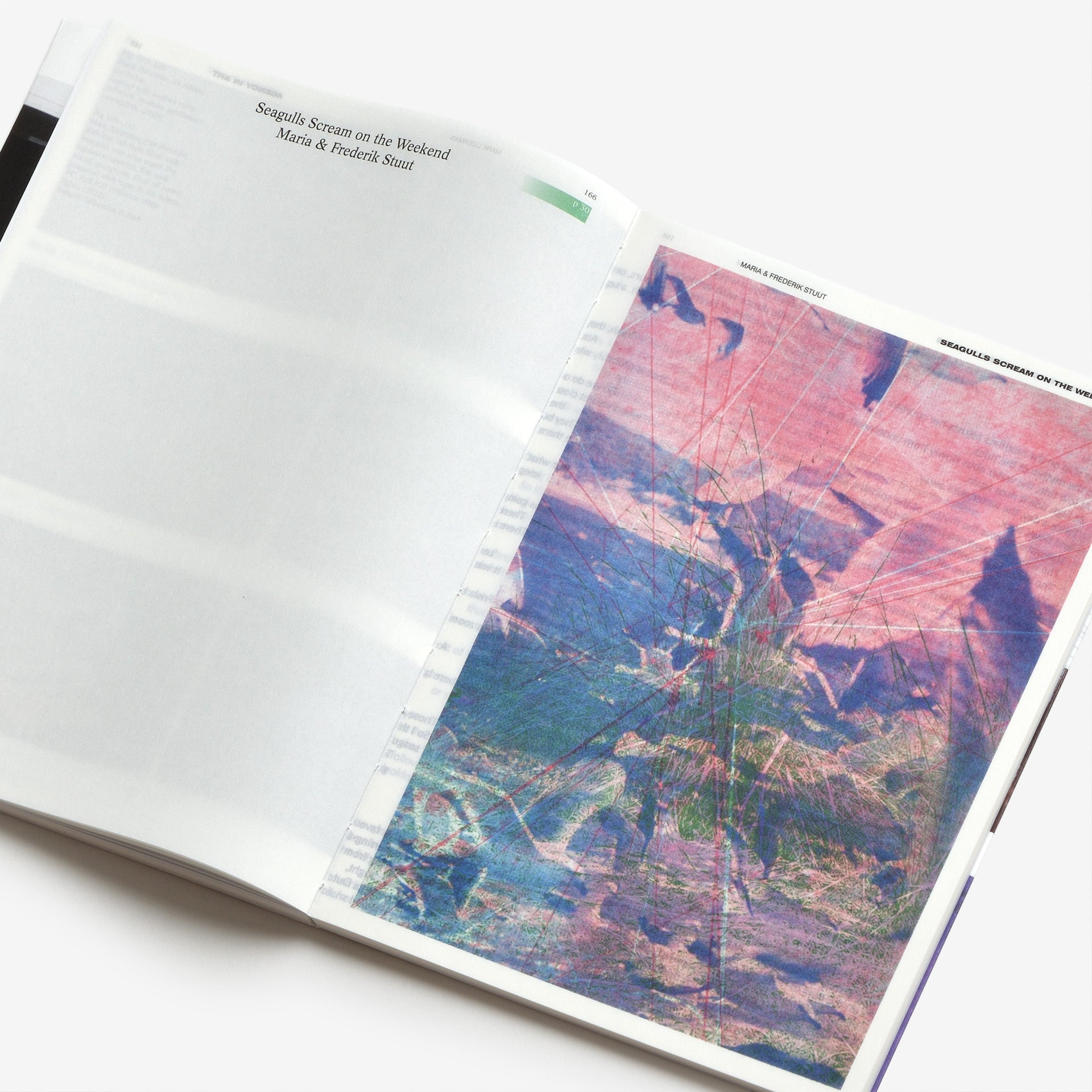 Decentering Design — Practice in a More-than-human World