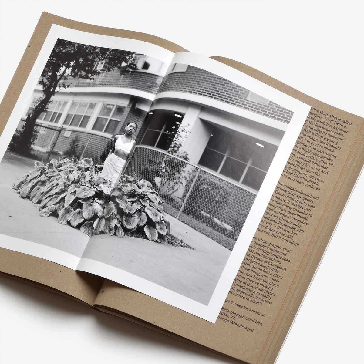 Widening the Lens: Photography, Ecology, and the Contemporary Landscape