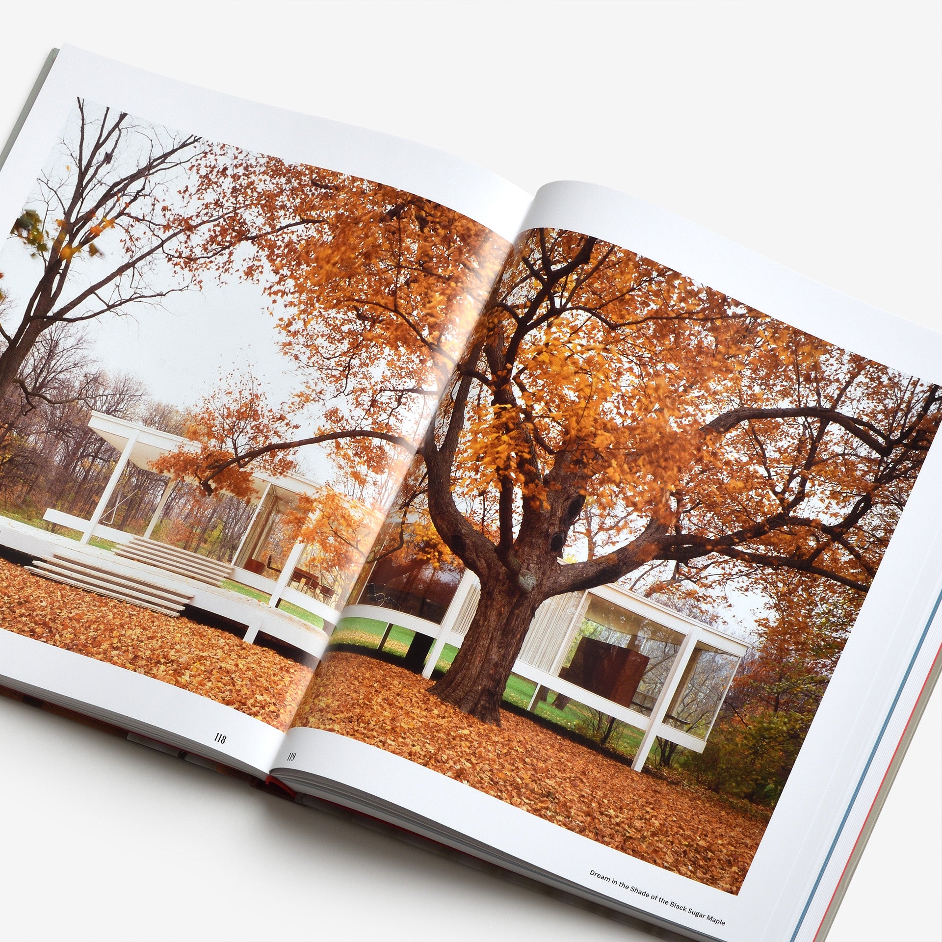 The Edith Farnsworth House: Architecture, Preservation, Culture