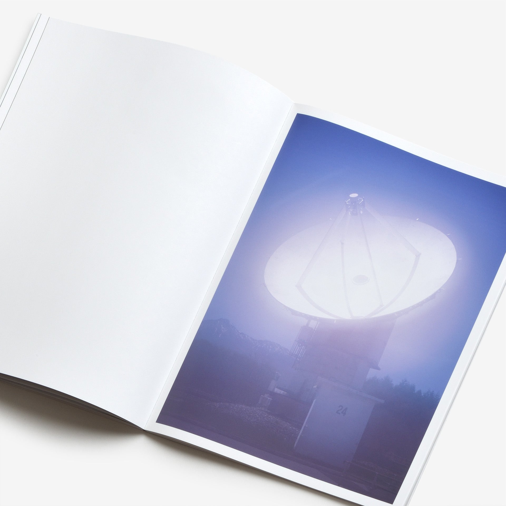 Ryo  Adachi: I Want To Check The Shape Of Trees