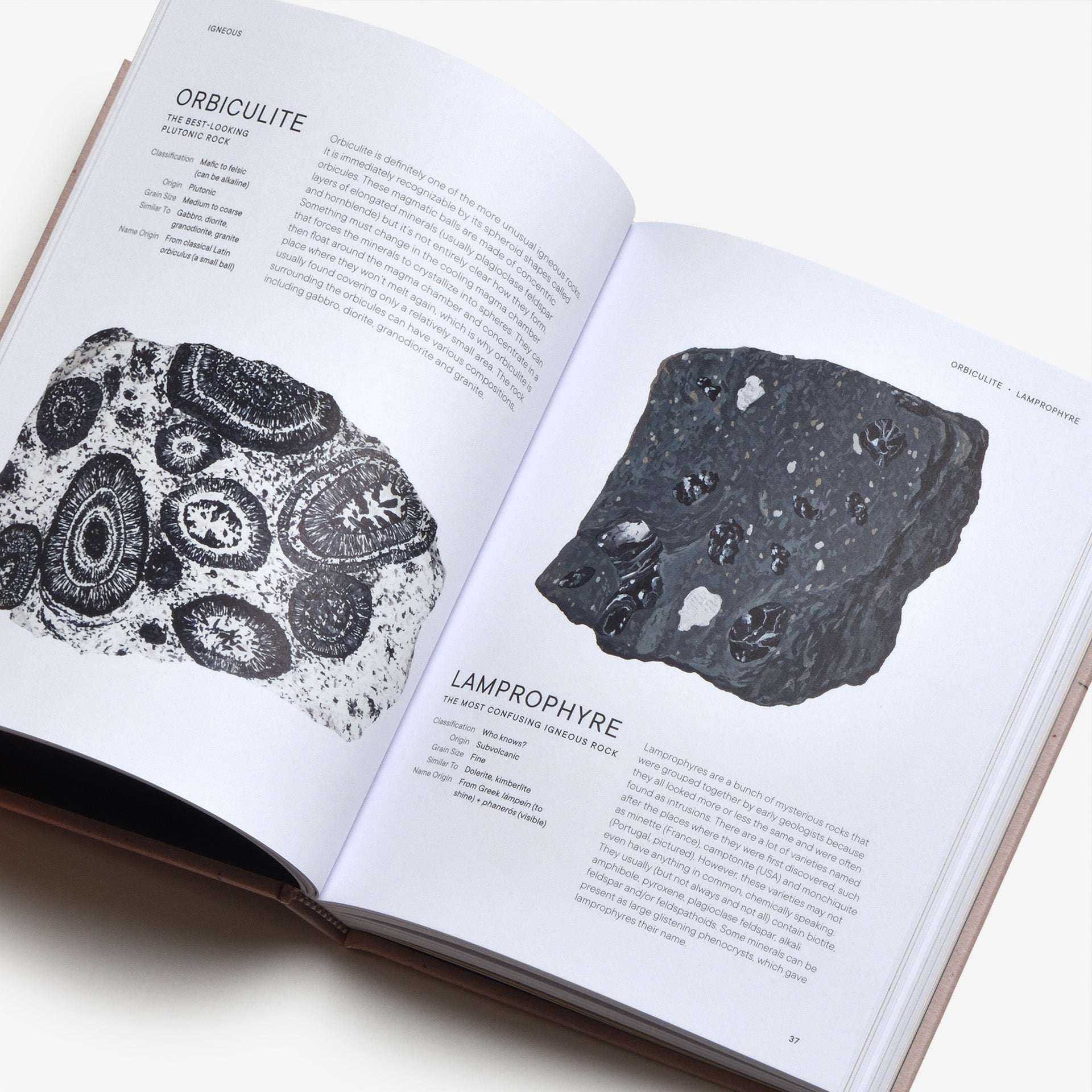Rocks: A Guide to the Stones Around Us and the Stories They Tell