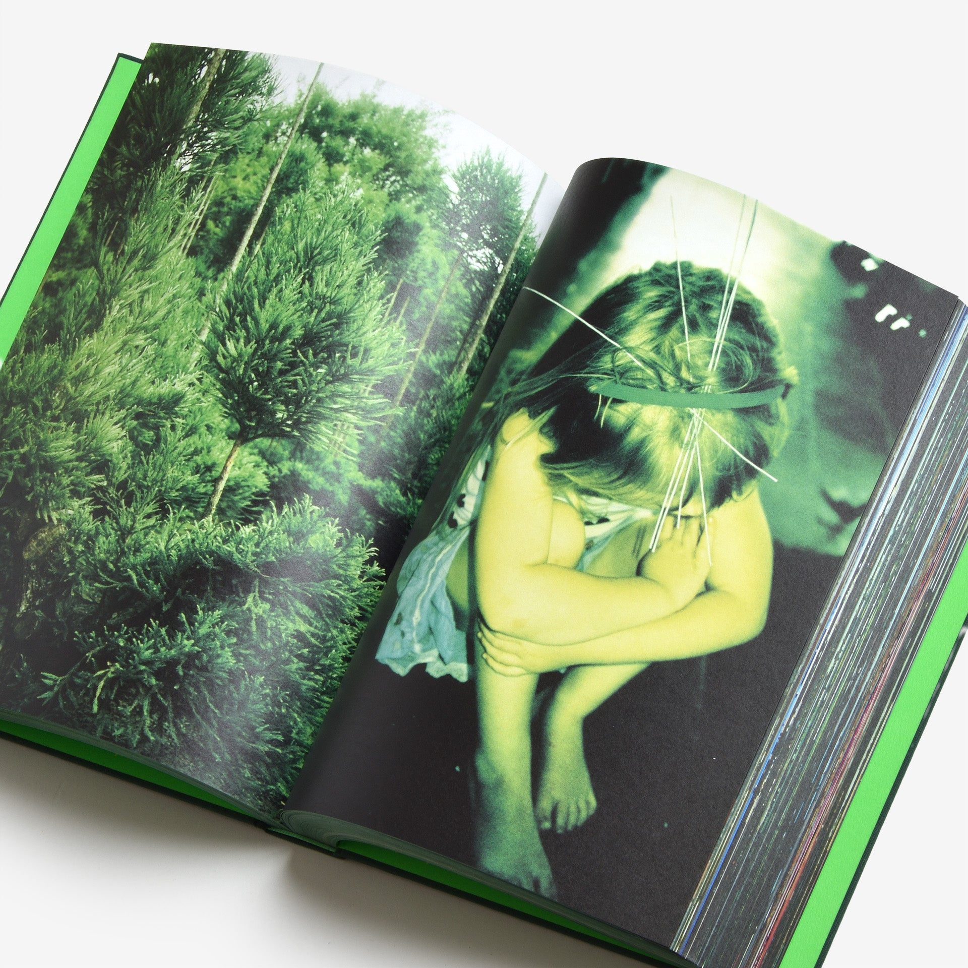 Misha Hollenbach: PSY LYF (B)