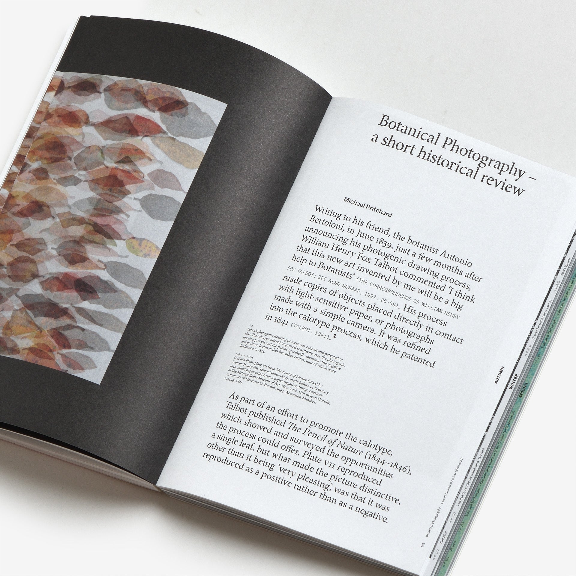 Yan Wang Preston: With love from an invader. – Rhododendrons, Empire, China and Me