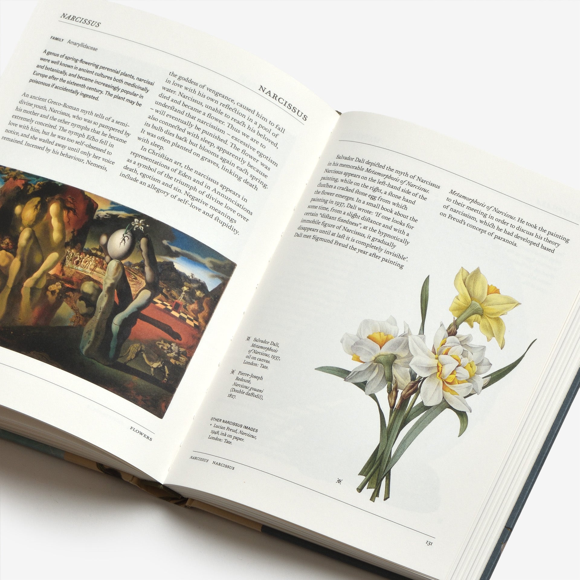 The Secret Language of Plants: Art, Nature & Symbolism