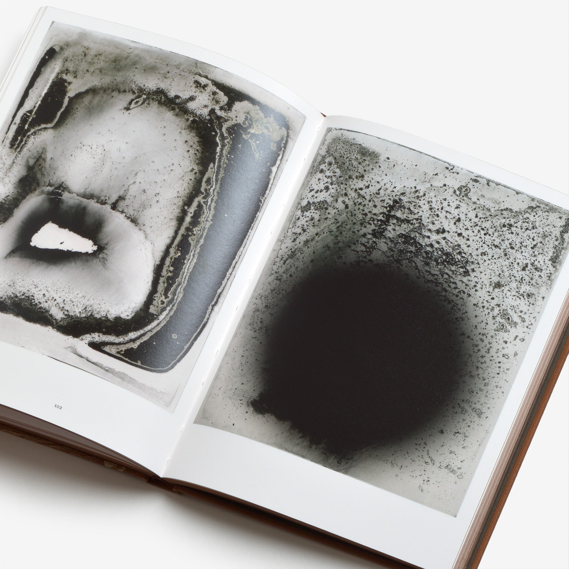 Nicolai Howalt: Fungi