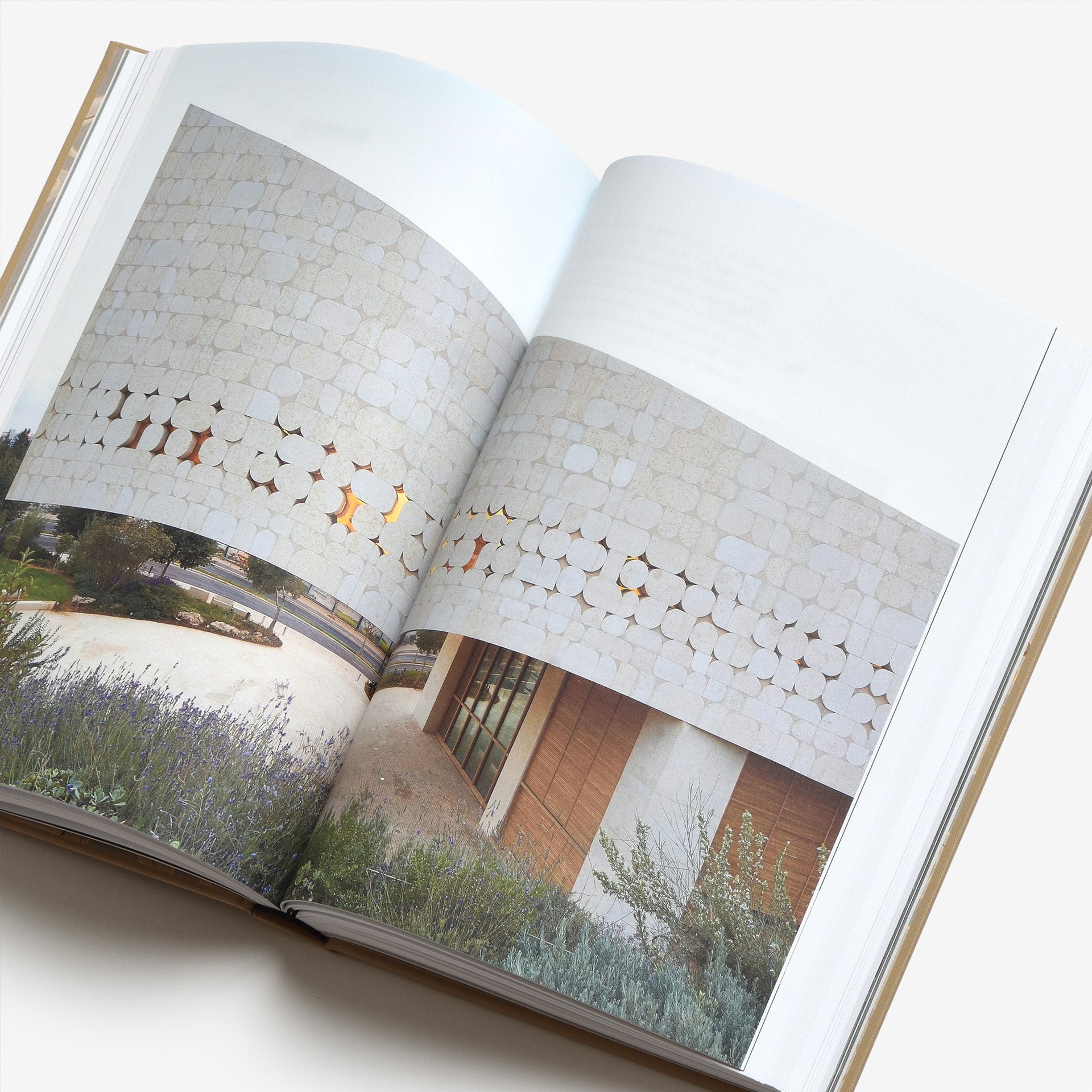 The Library: An Open Book