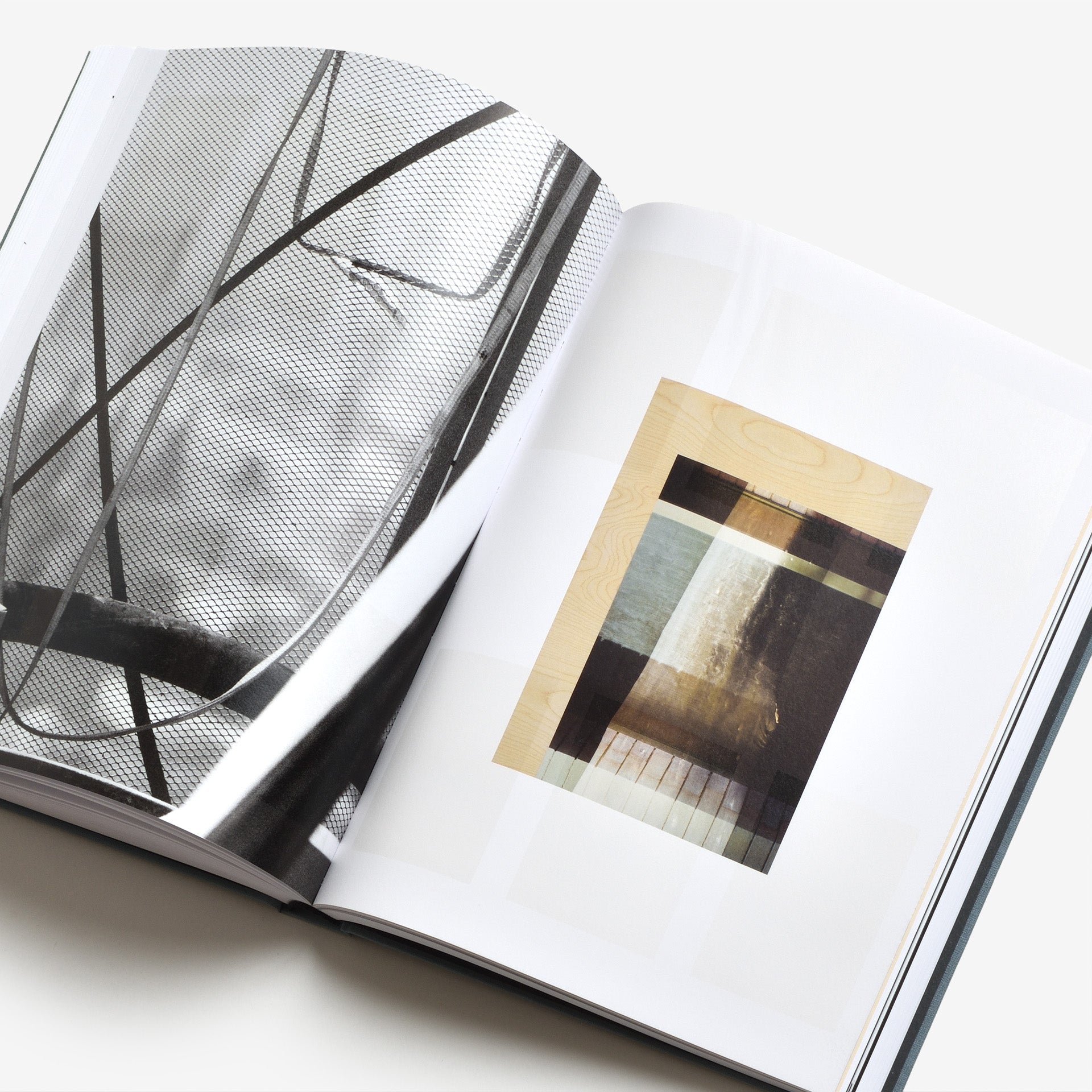 Daniel Shea: Distribution（サイン入り）