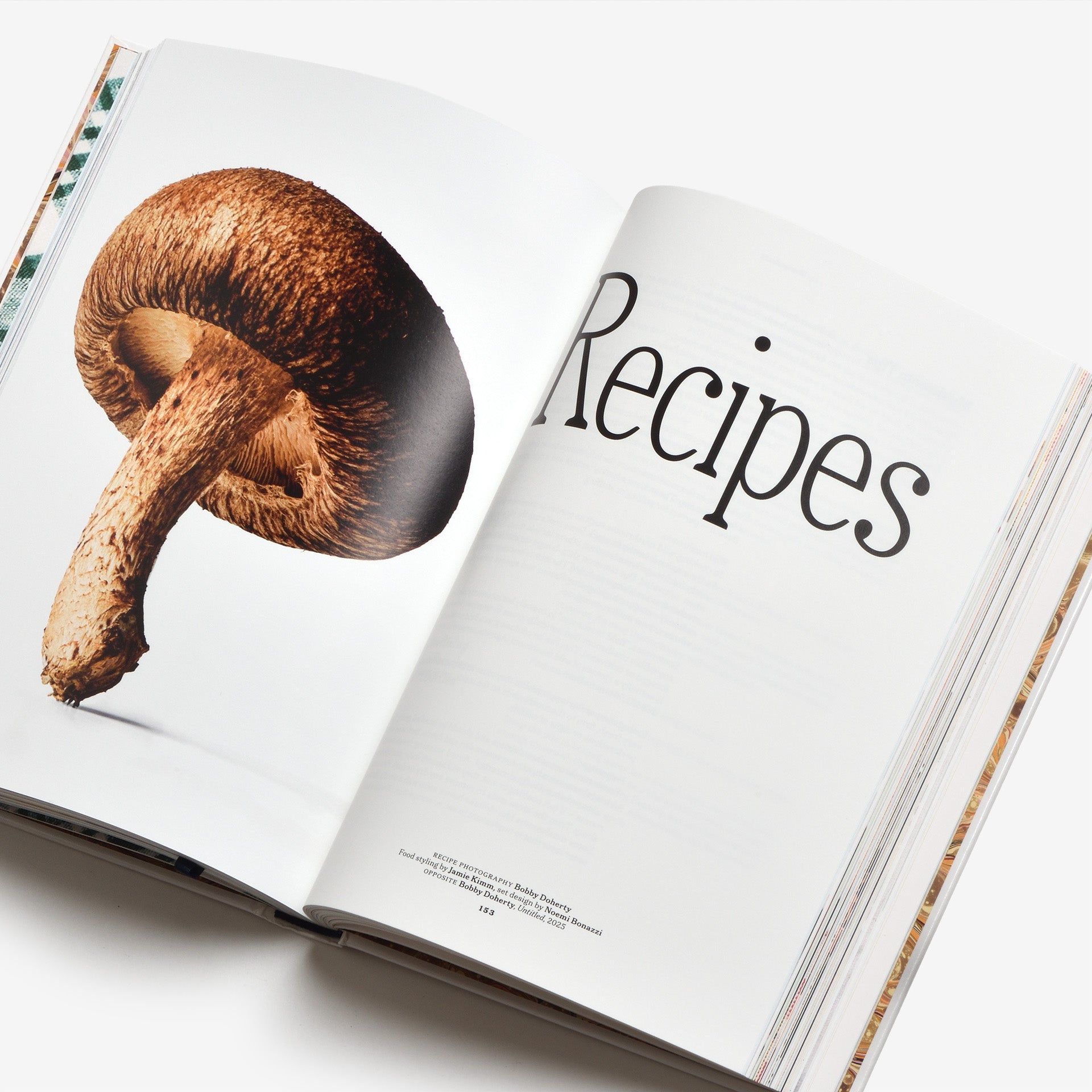 The Gourmand’s Mushroom: A Collection of Stories and Recipes