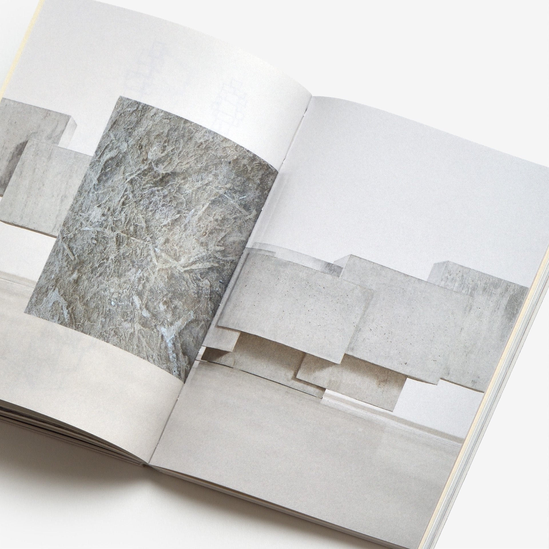 Antony Gormley: Formation