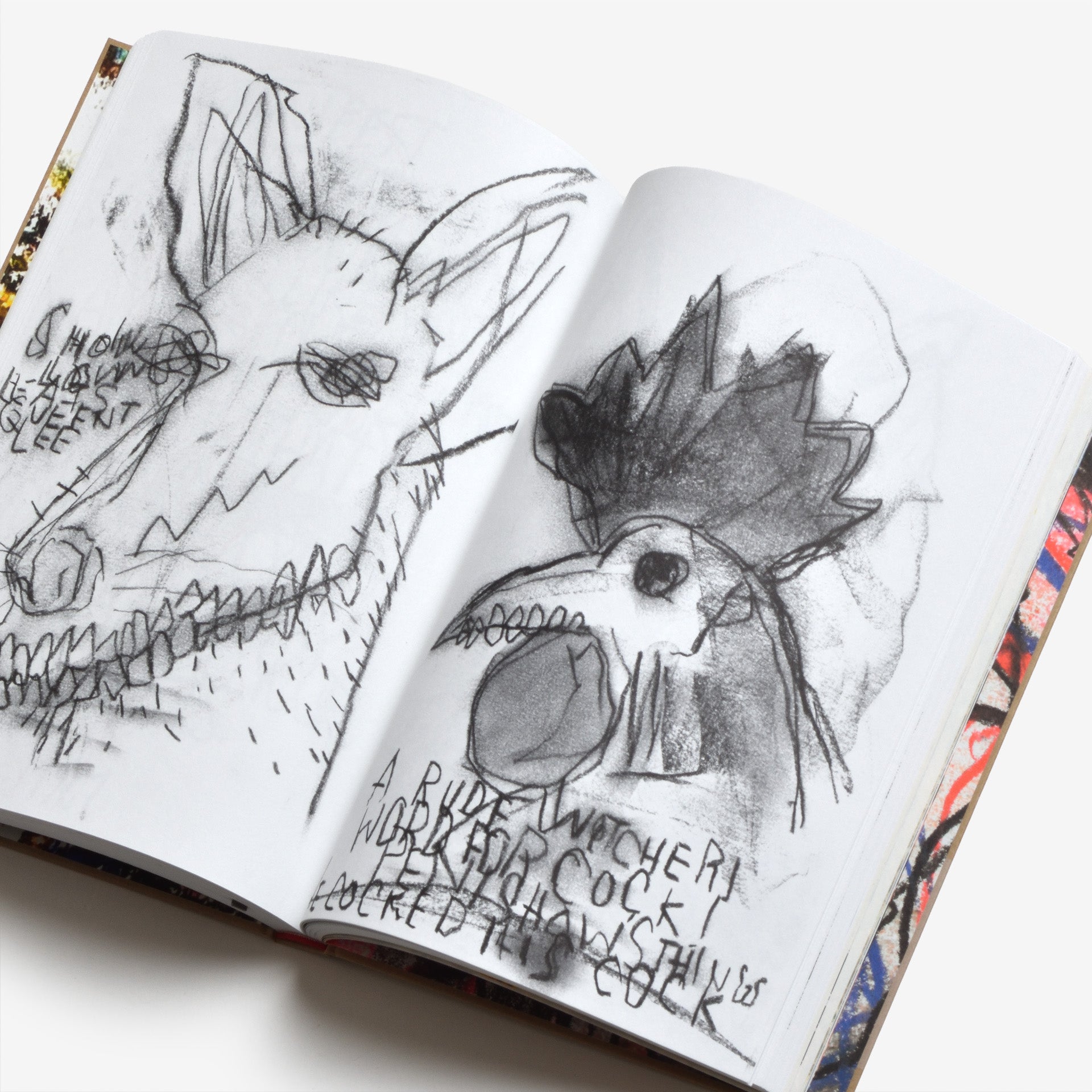 Steidl–Werk No.32: Manifest