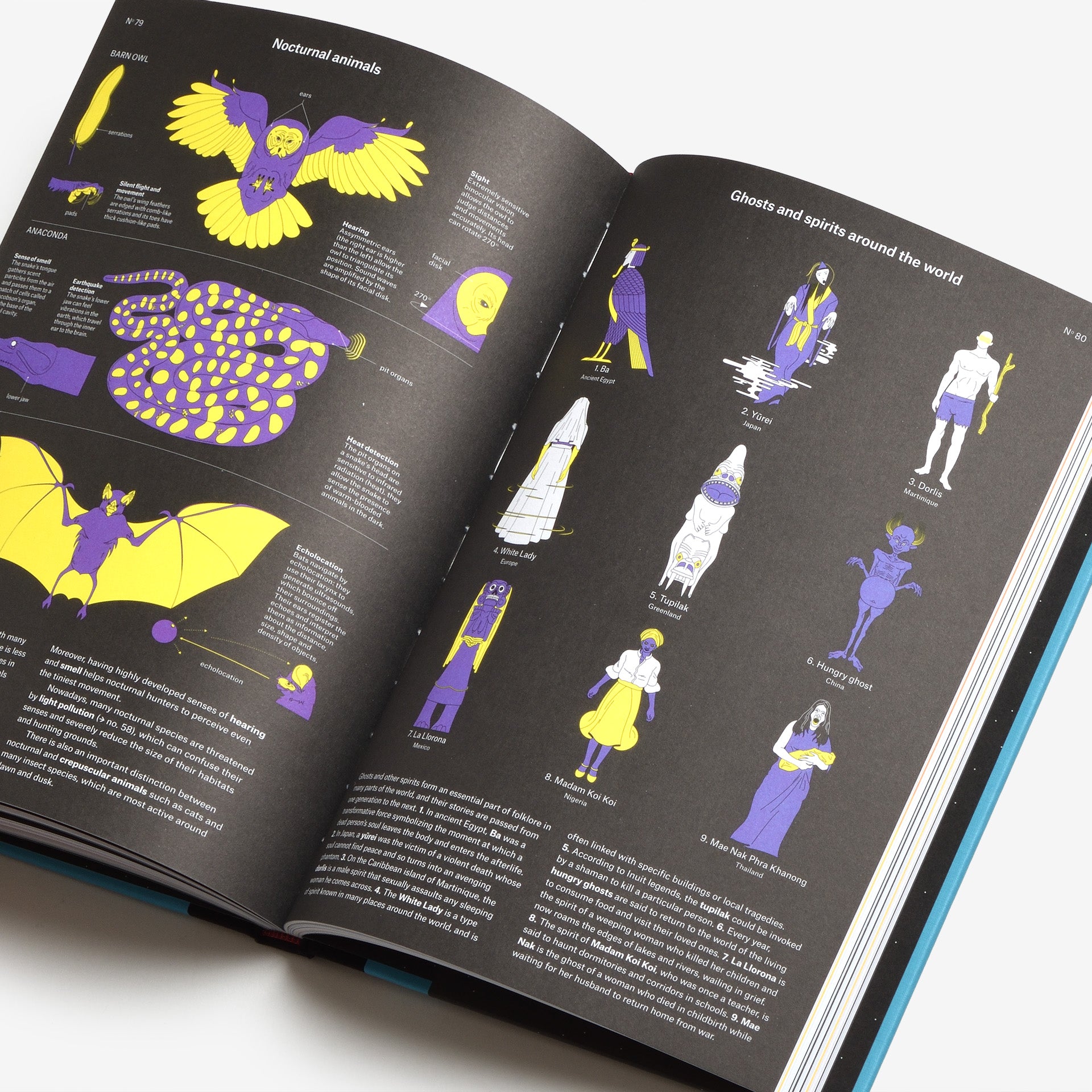 Phenomena: An Infographic Guide to Almost Everything