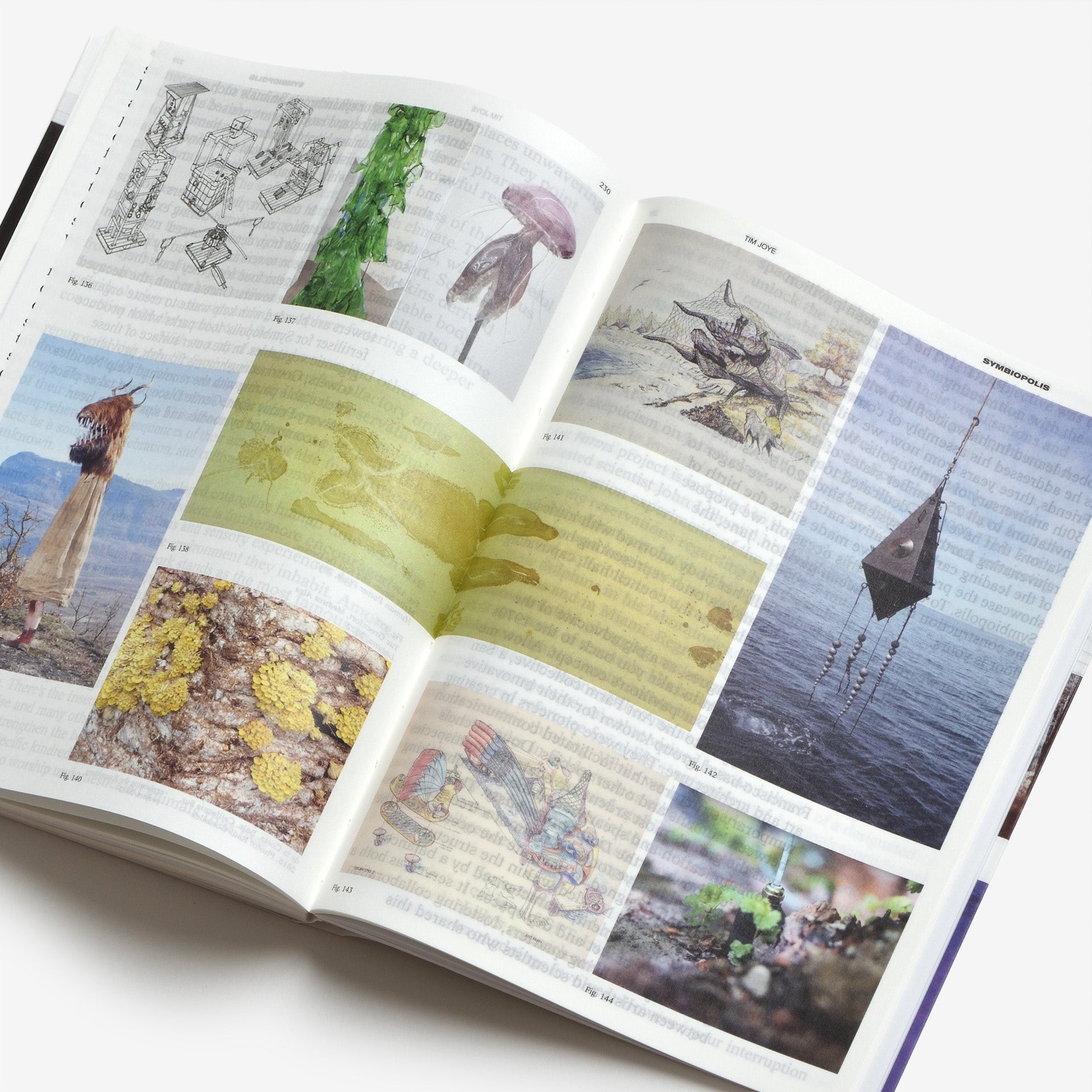 Decentering Design — Practice in a More-than-human World