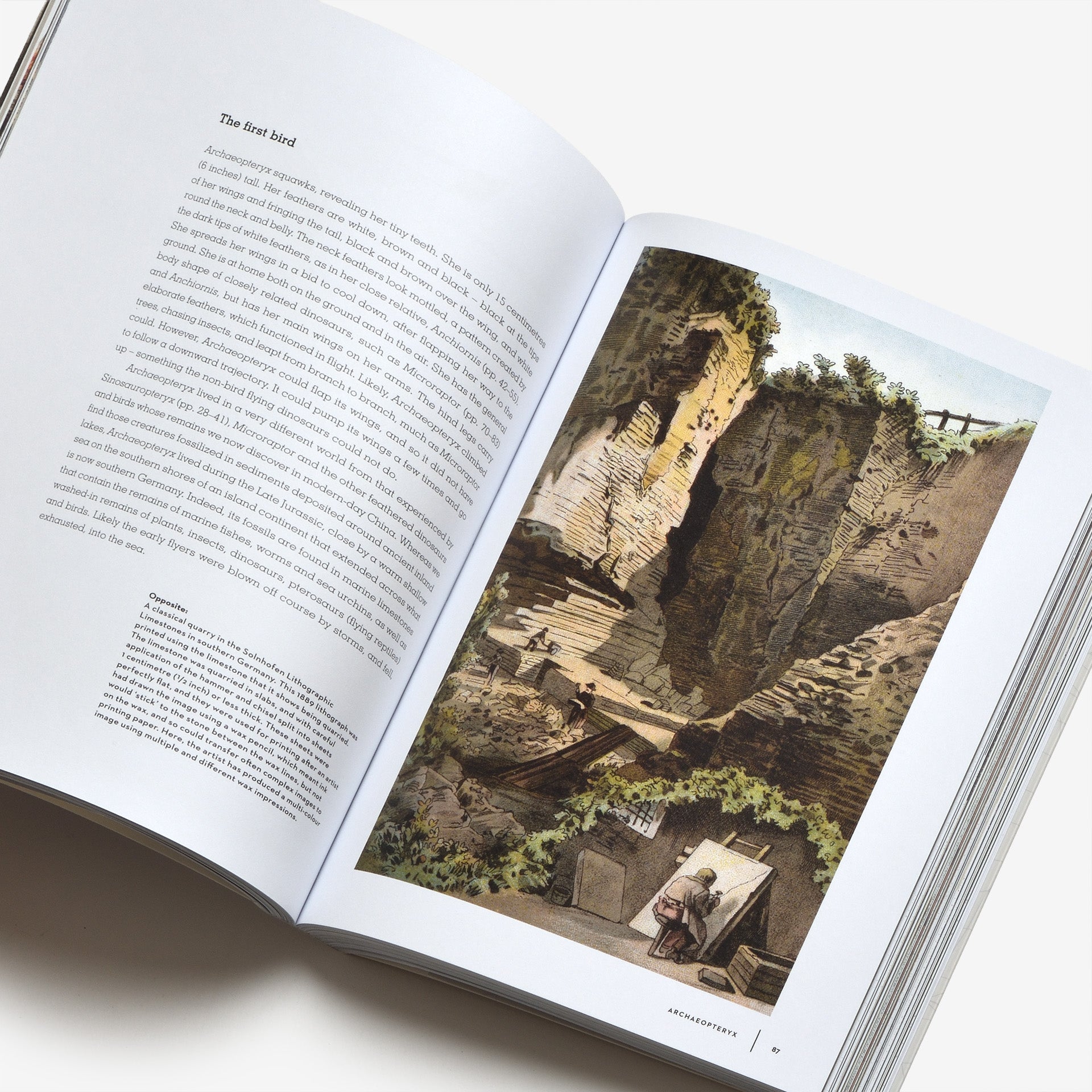 Dinosaurs: New Visions of a Lost World