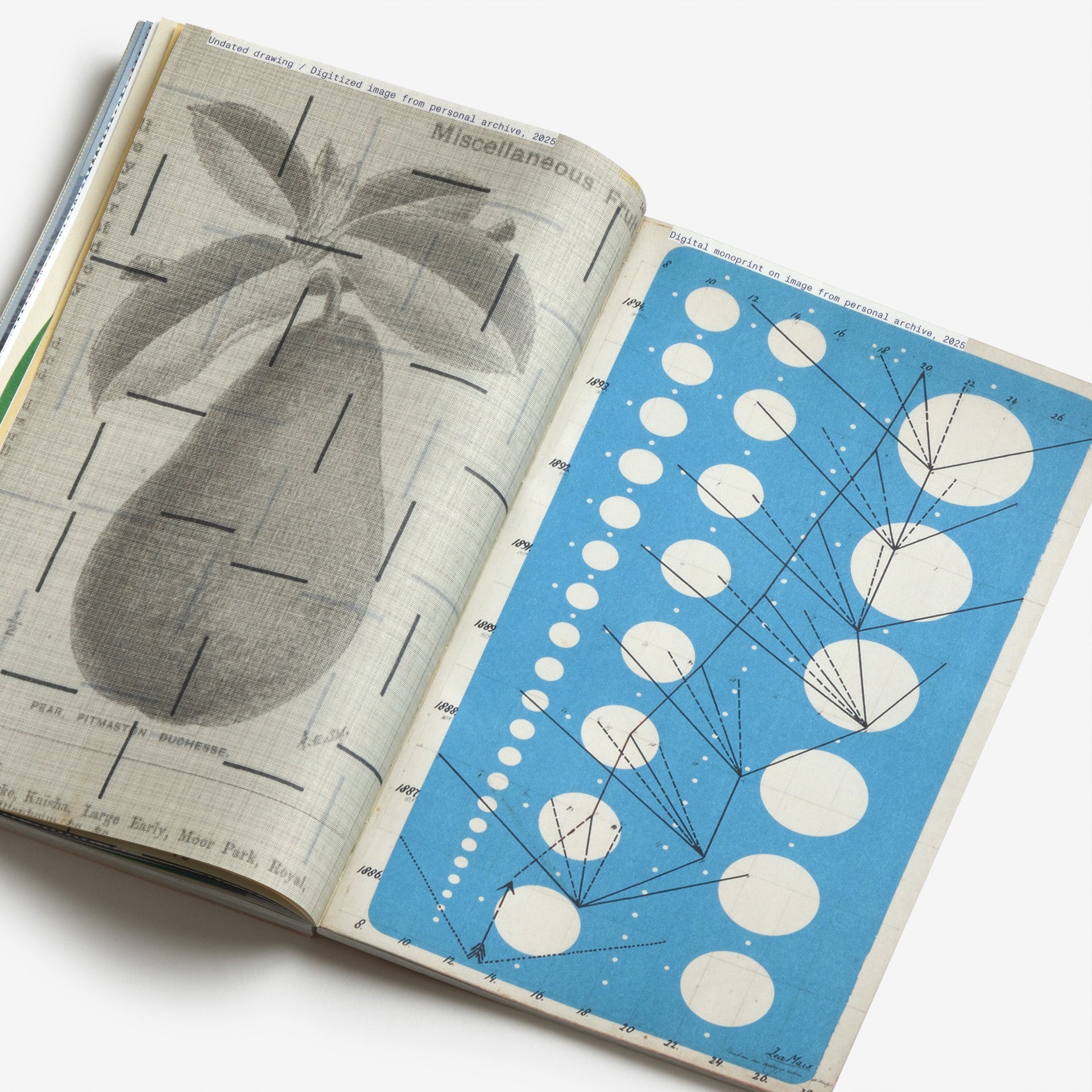 Karel Martens: Unbound