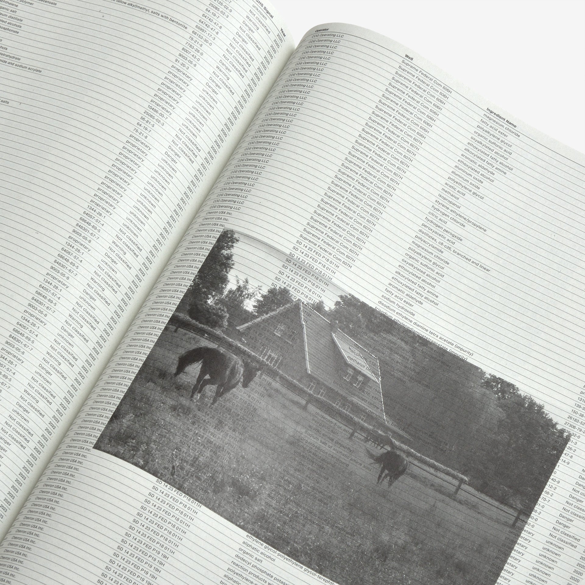 Sung Tieu: Without Full Disclosure