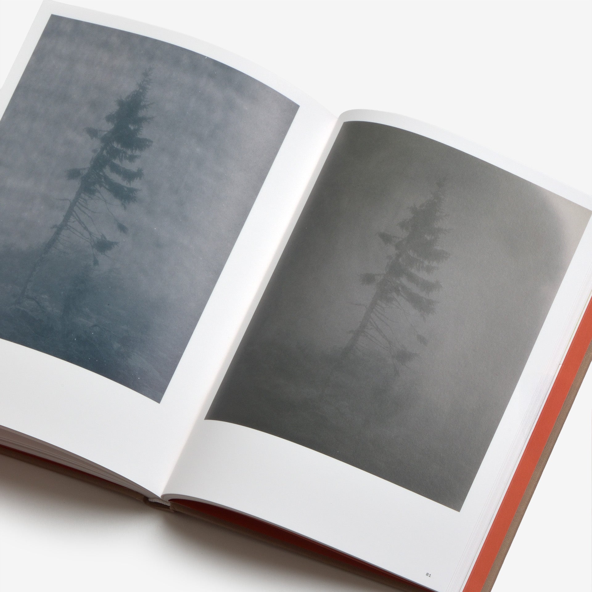 Nicolai Howalt: The Outer Inner World