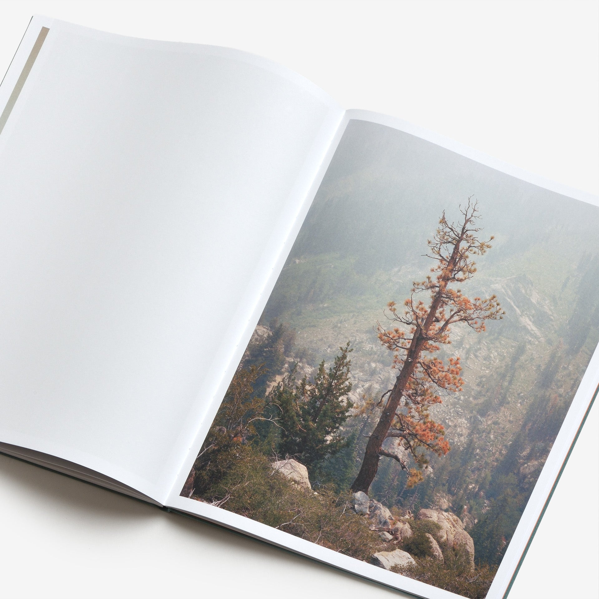 Aaron Rothman: The Sierra