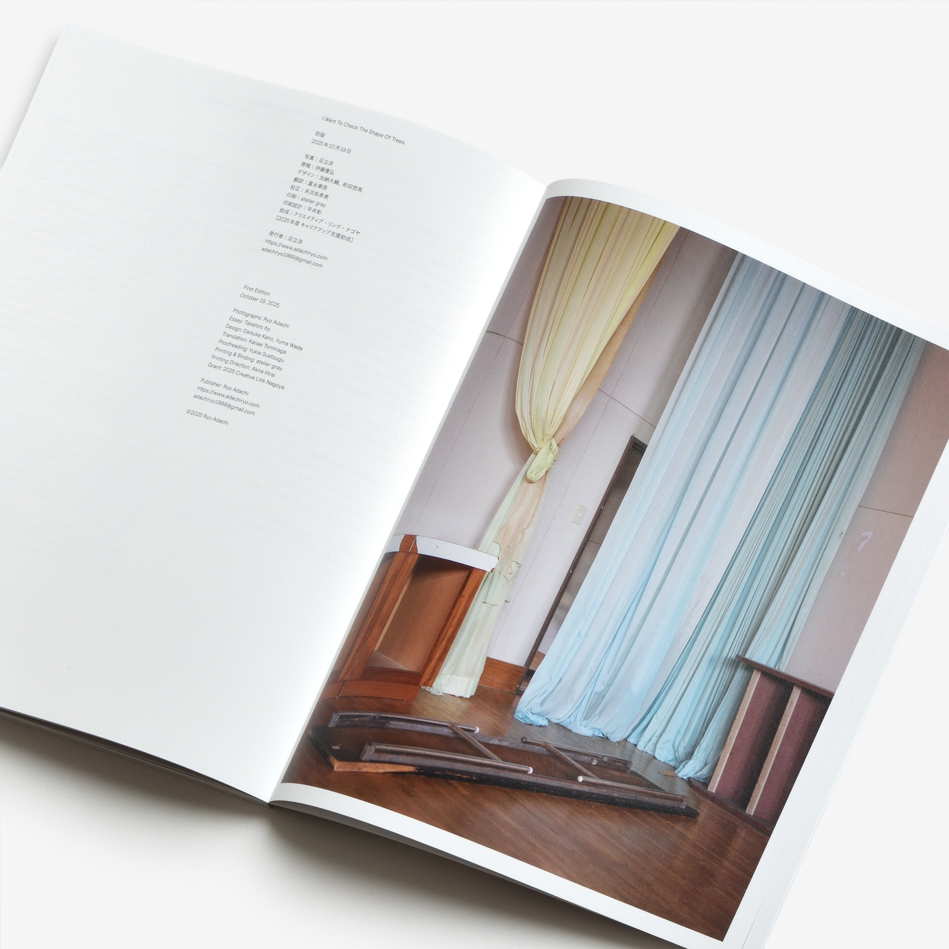 Ryo  Adachi: I Want To Check The Shape Of Trees