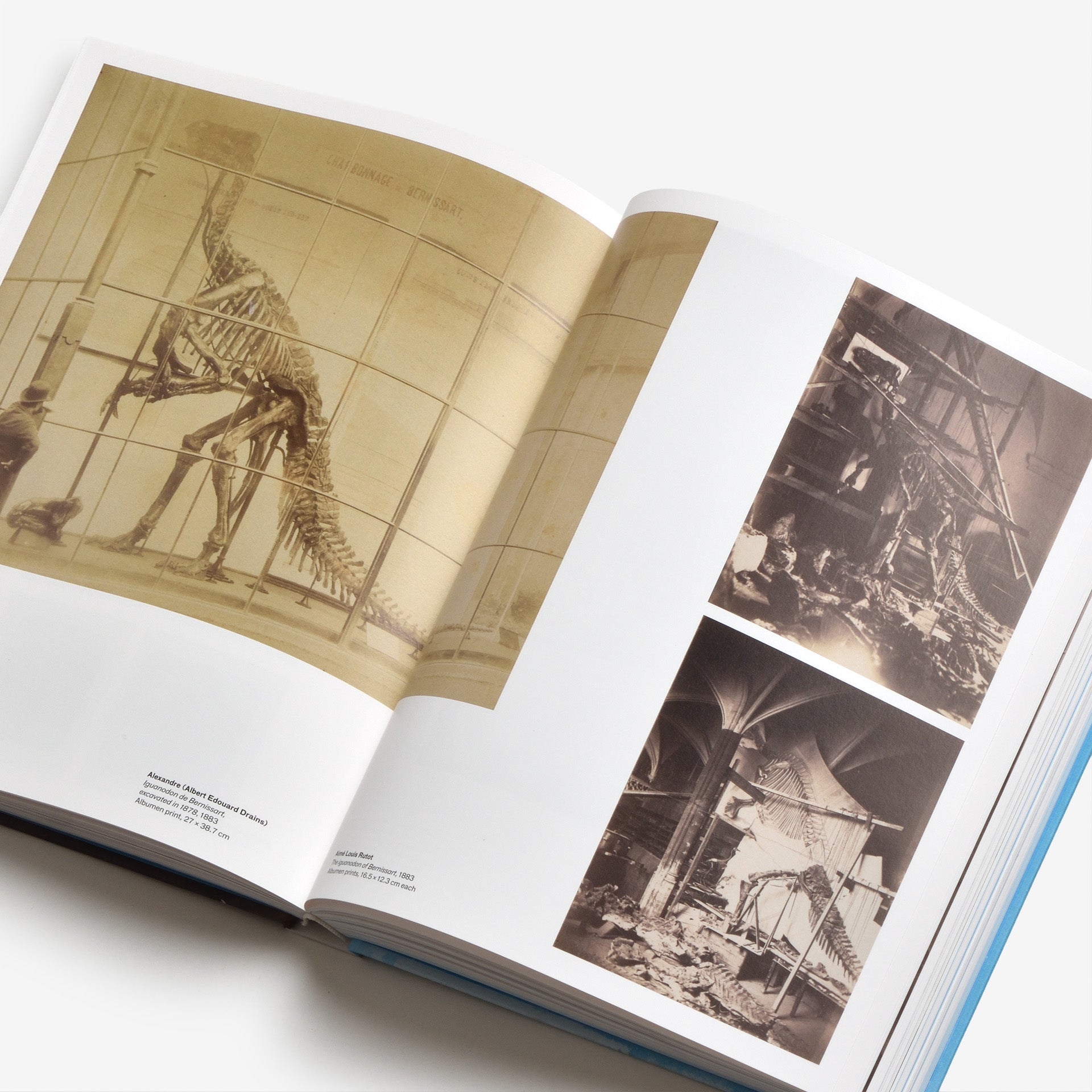 Early Gaze: Unseen Photography of the 19th Century