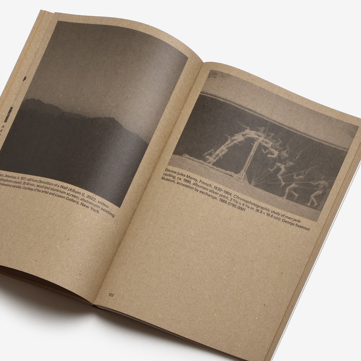 Widening the Lens: Photography, Ecology, and the Contemporary Landscape