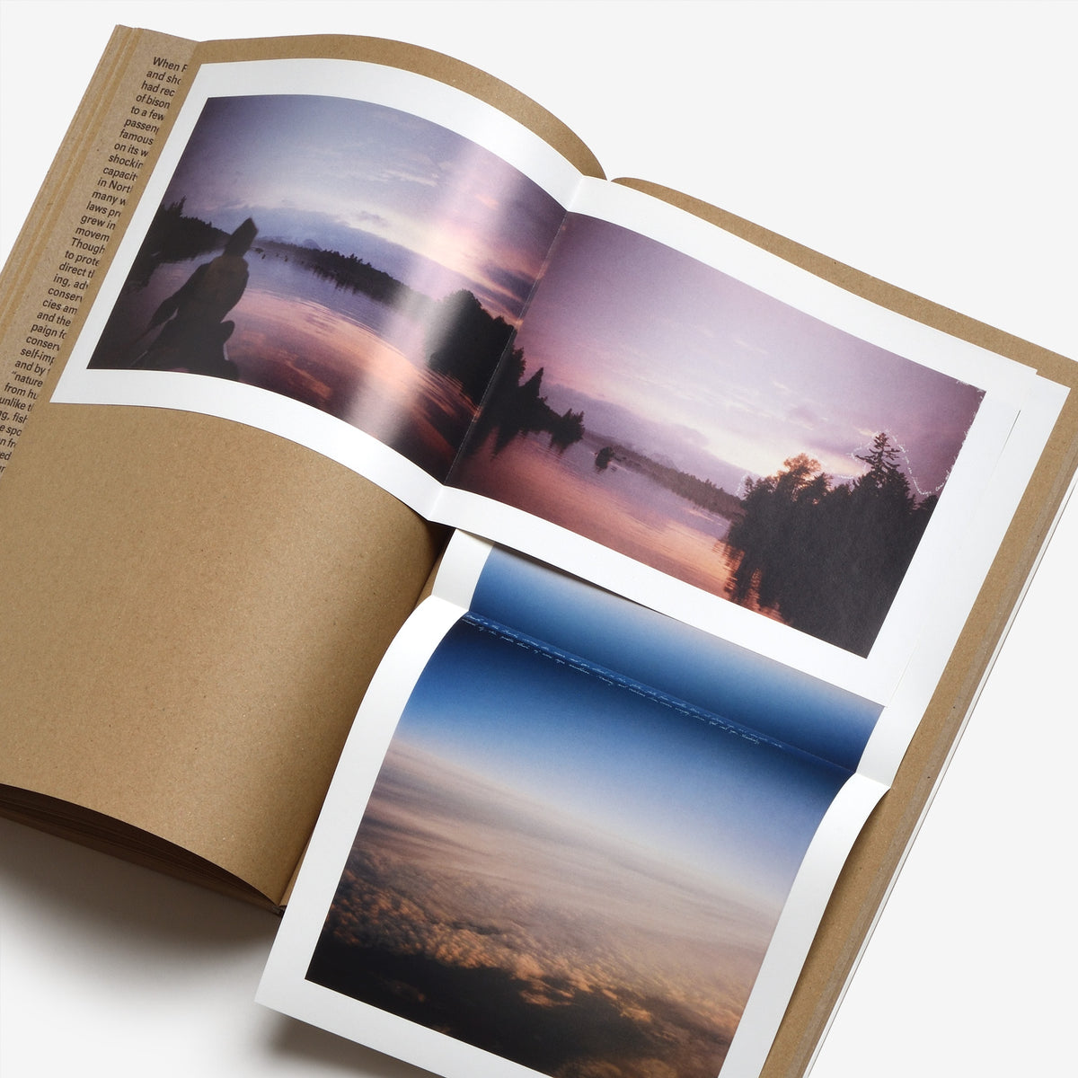 Widening the Lens: Photography, Ecology, and the Contemporary Landscape