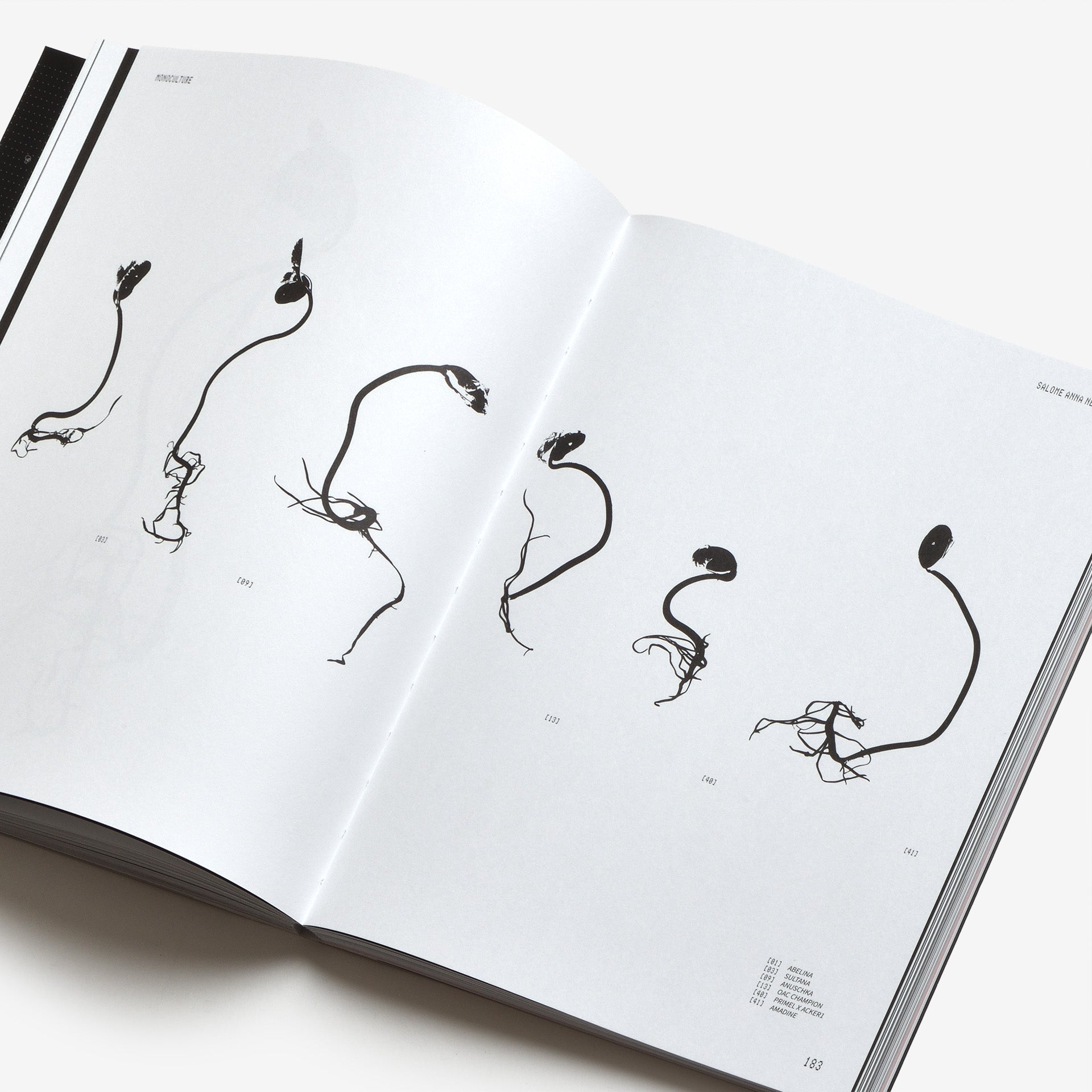 45 Symbols—Clay to Code