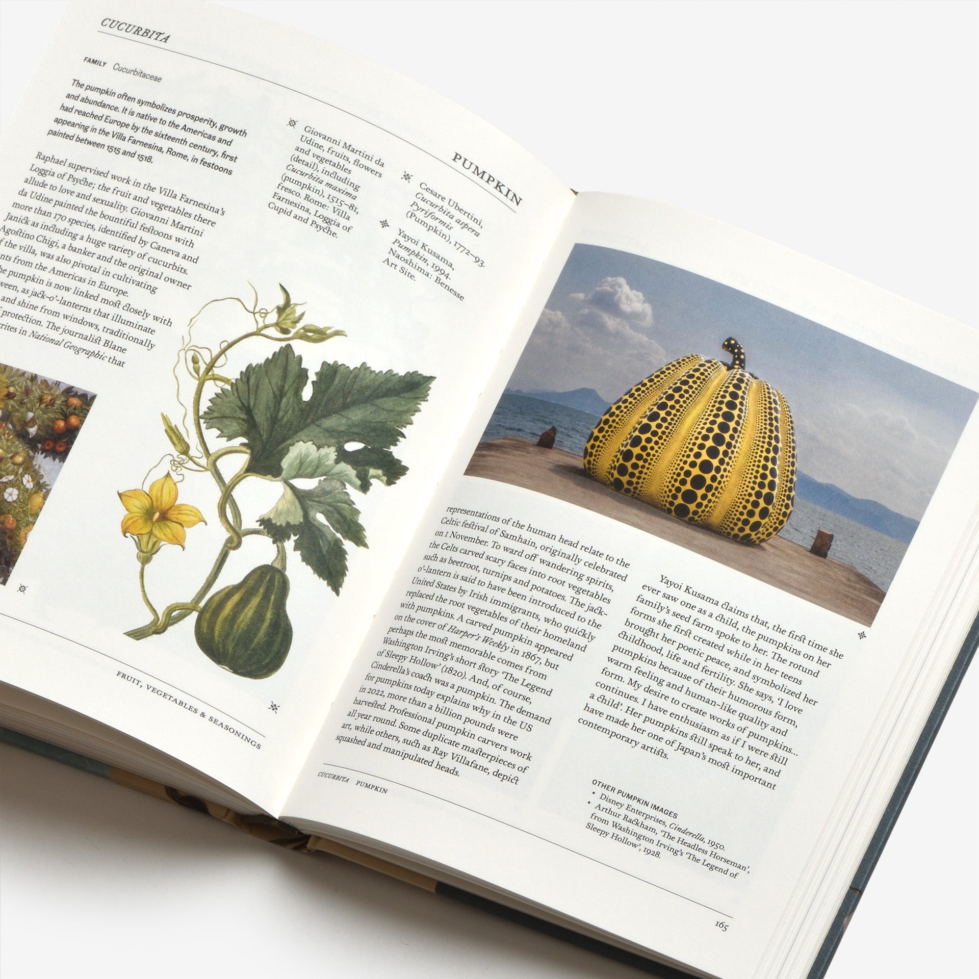 The Secret Language of Plants: Art, Nature & Symbolism