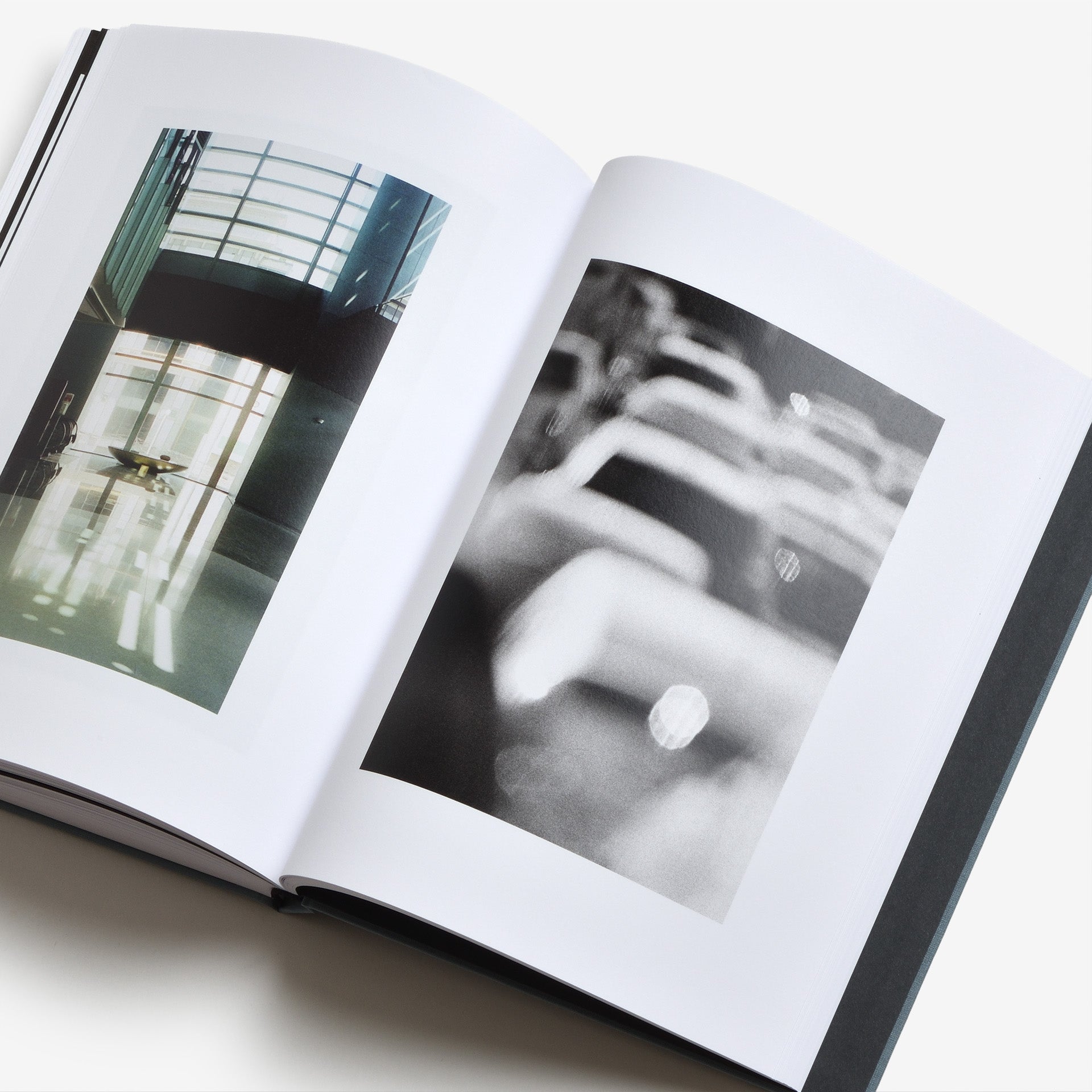 Daniel Shea: Distribution（サイン入り）