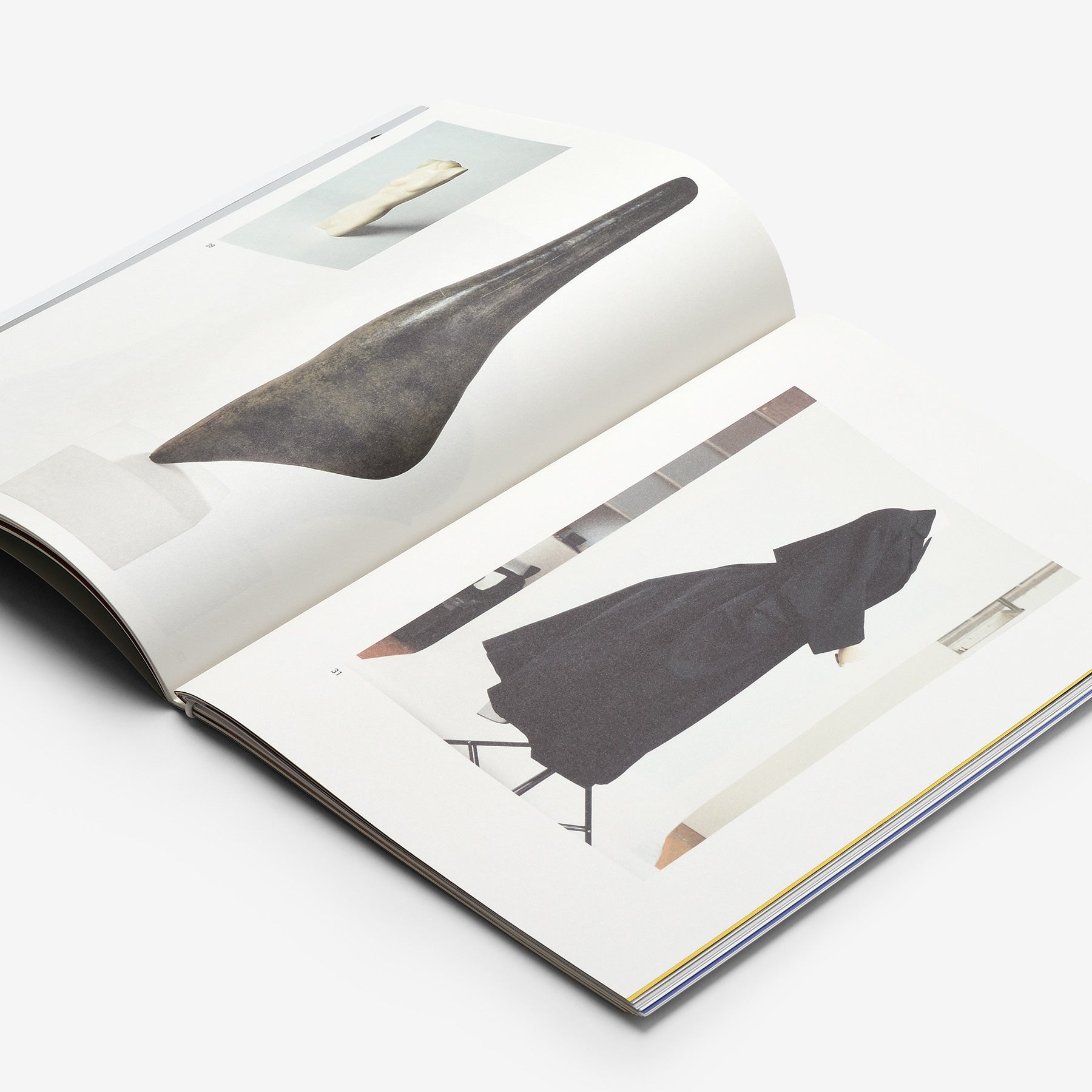 Disobedient Bodies | North East