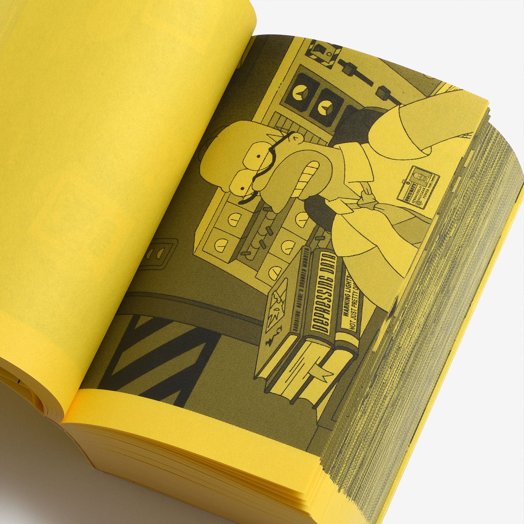 A Final Companion To Books From The Simpsons (Updated Version
