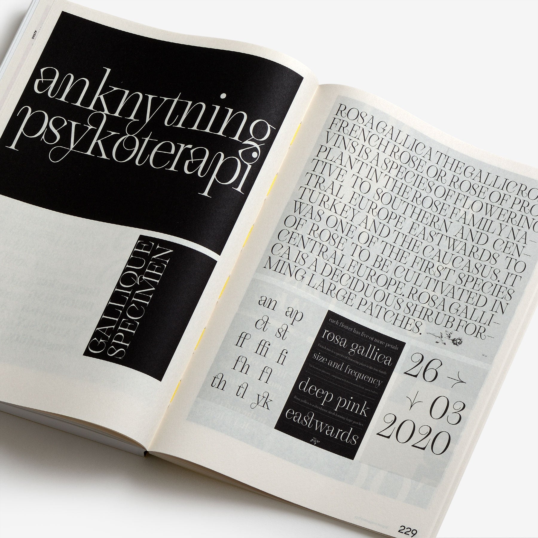 Support Independent Type—the New Culture of Type Specimens | North